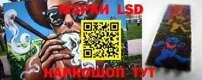 mdma Гатчина