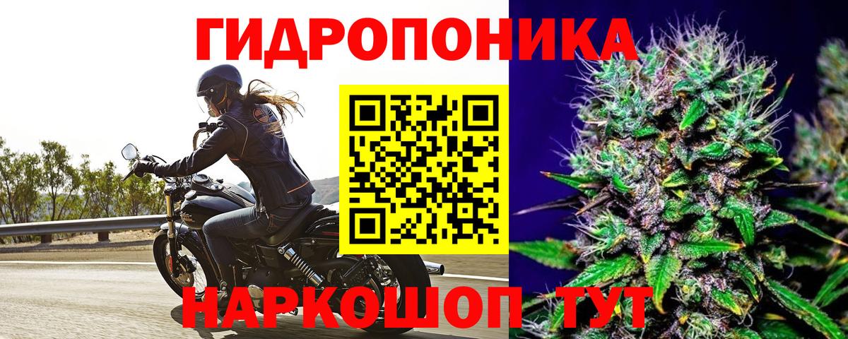 Канабис White Widow  Бошки марихуана тримм  Шишки марихуана White Widow  Вход с VPN  Каменка 